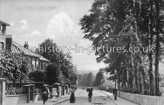 Queens Road, Brentwood, Essex. c.1911